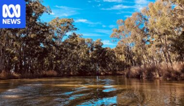 Murray-Darling Basin Authority wins $1.5-billion class action