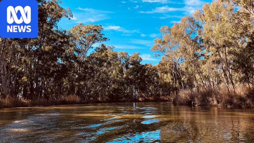 Murray-Darling Basin Authority wins $1.5-billion class action