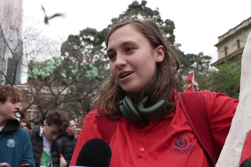 Georgia student protester