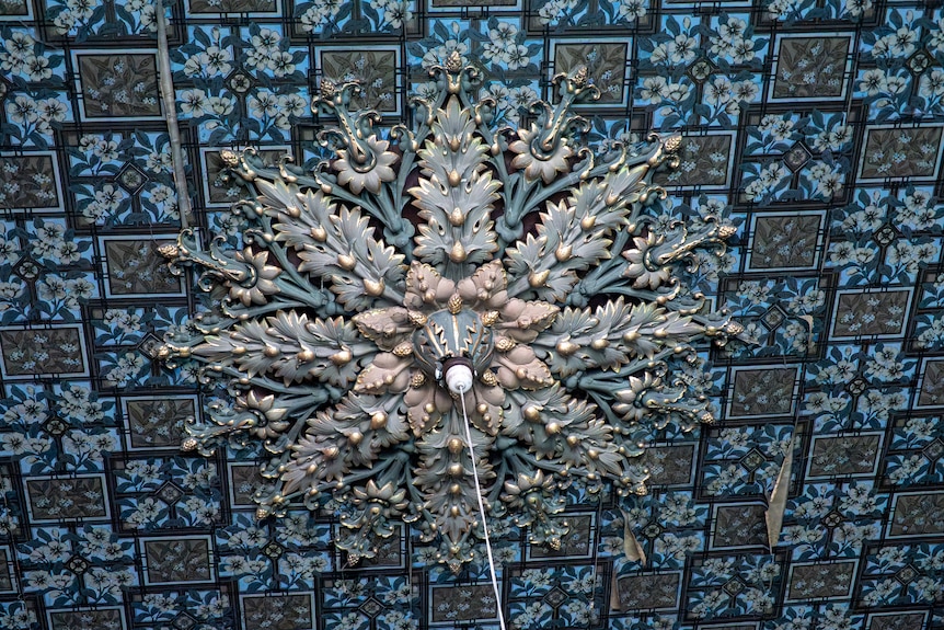 Close up of the ornate plaster ceiling of an old house.