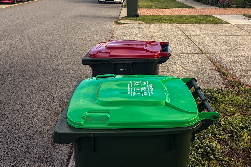 Red-lidded and green-lidded wheely bins on street.