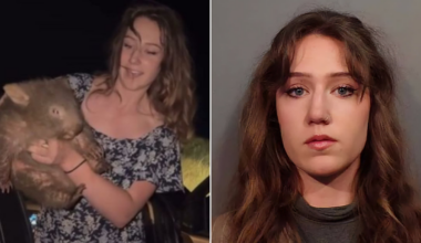 Influencer Samantha Strable who made headlines for taking baby wombat pleads guilty to hunting charges