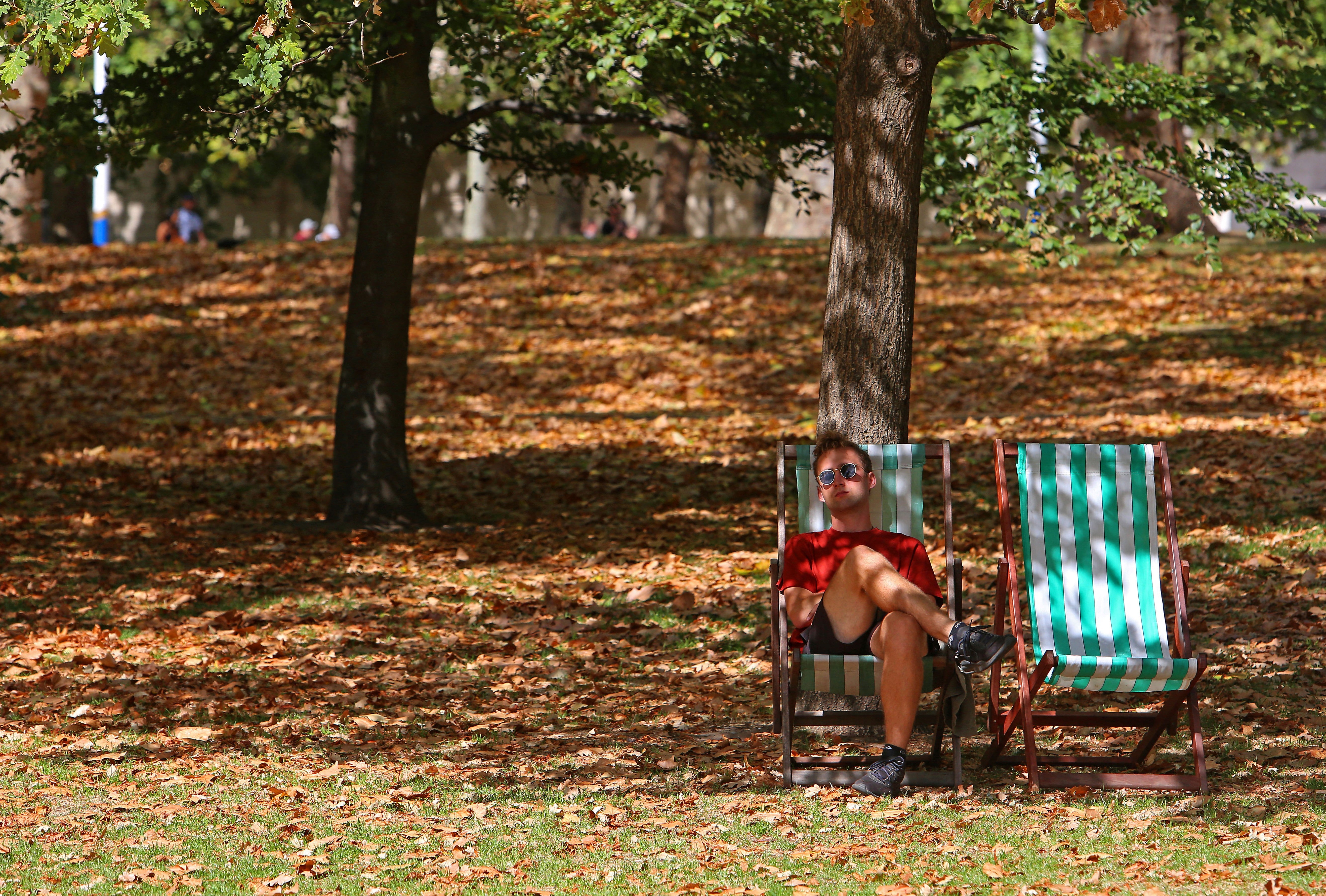 A 'false autumn' is underway, where trees drop their brown leaves because they are so dry