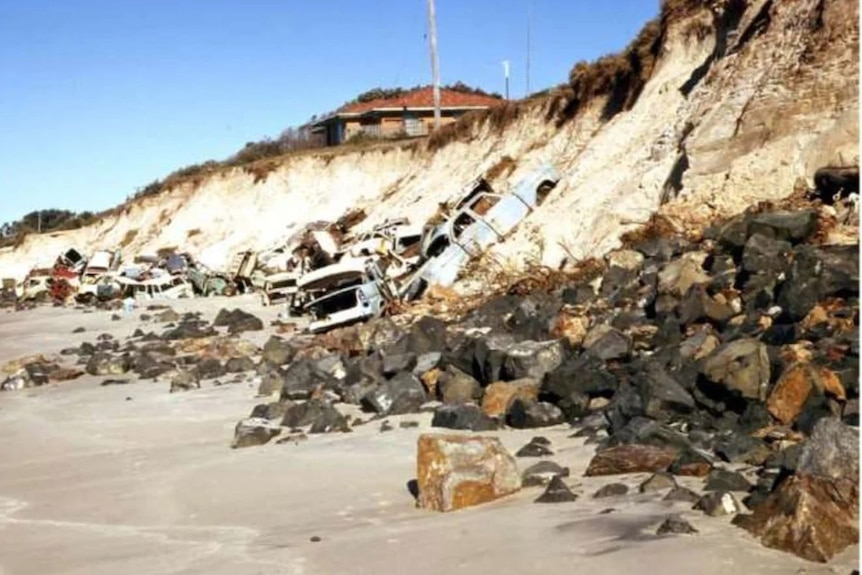 An old photo showing wrecked car bodies in the sand dunes near erosion at a beach.