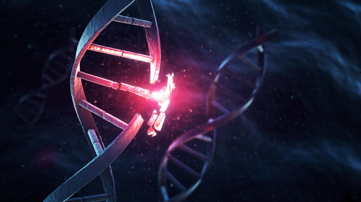 Cracking Code Of Gene Regulation