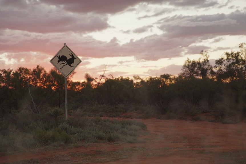 A bilby sign in the outback.