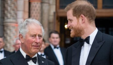 'More and more of a foothold': Prince Harry's major UK plans revealed after 'successful' reunion with King Charles III