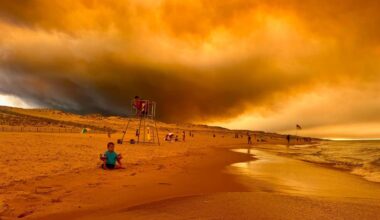 Climate Scientist Fleeing Wildfires: ‘We’re In A Race Against Time’