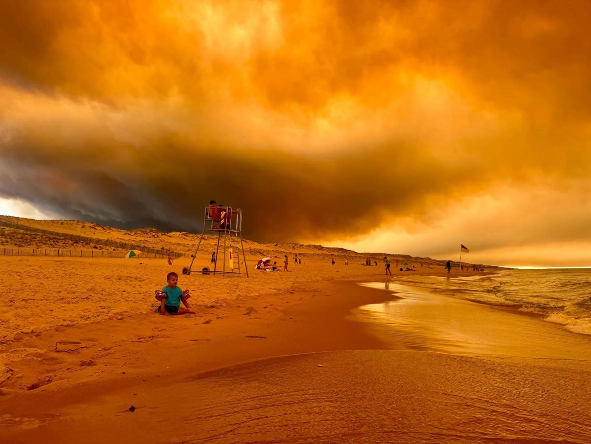 Climate Scientist Fleeing Wildfires: ‘We’re In A Race Against Time’