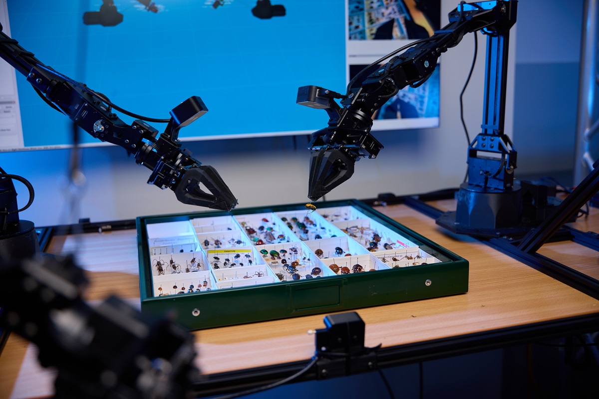 From Robot To Human In Loop: Robotics Terms Explained