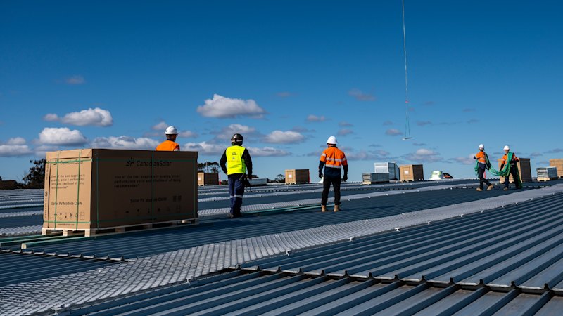 Rooftop solar for businesses: Federal government targets factory and warehouse roofs to fill renewable energy gap