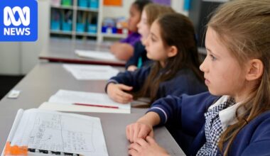 NAPLAN results 'national tragedy' as one-third of students fail to meet literacy and numeracy expectations