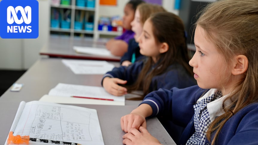 NAPLAN results 'national tragedy' as one-third of students fail to meet literacy and numeracy expectations