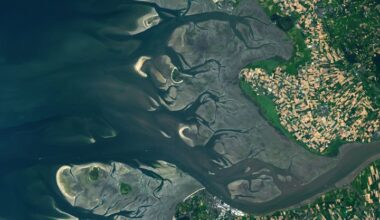 How the Tide Turns at the Mouth of the Elbe