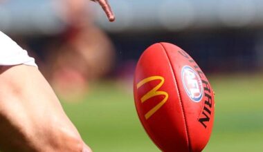 An unnamed player and Geelong have reportedly agreed to a confidential concussion agreement. Photo: Jason O'BRIEN/AAP PHOTOS