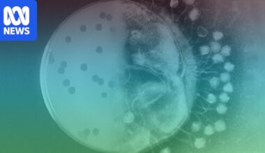 Stanford researchers create viruses not found in nature using genomes designed by artificial intelligence