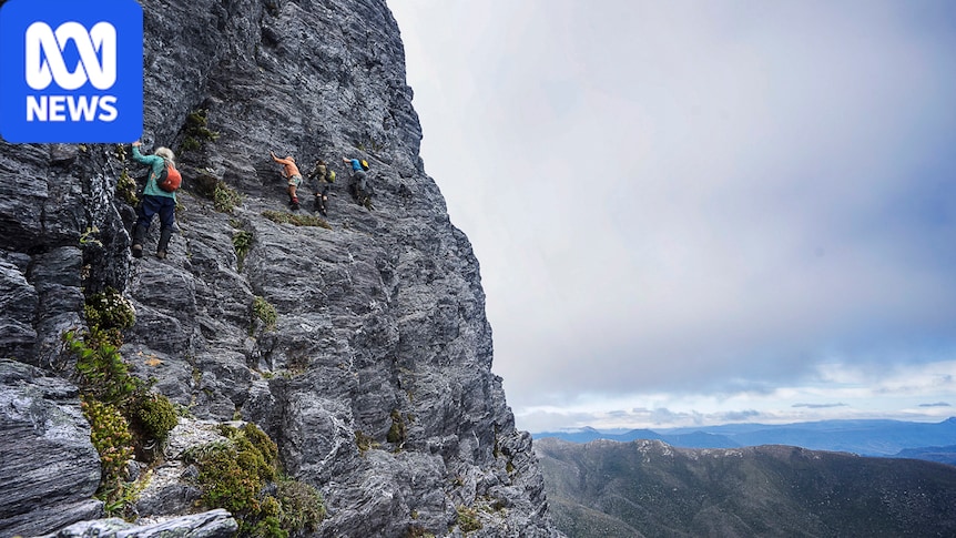 Victorian bushwalker who fell from Tasmania's Federation Peak was trying to head back, coroner says