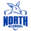 Kangaroos Team Logo