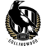 Magpies Team Logo