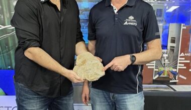 Researchers holding a fossil.