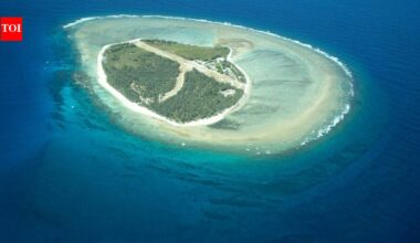 In 1969, an Australian pilot leased a coral island left barren by guano mining; he flew in water and native trees, his plantings began a 50-year ecological recovery | World News