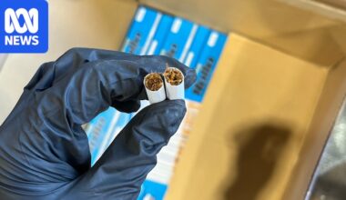 Australia is divided over how to tackle its illegal tobacco crisis