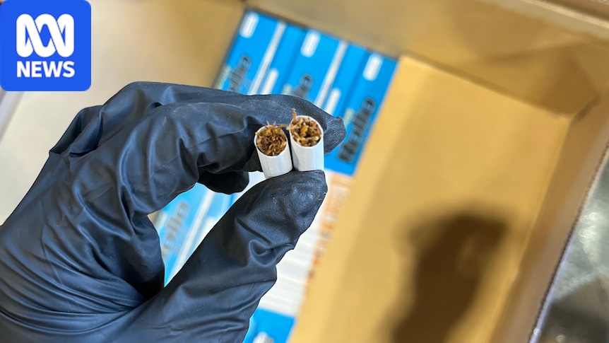 Australia is divided over how to tackle its illegal tobacco crisis