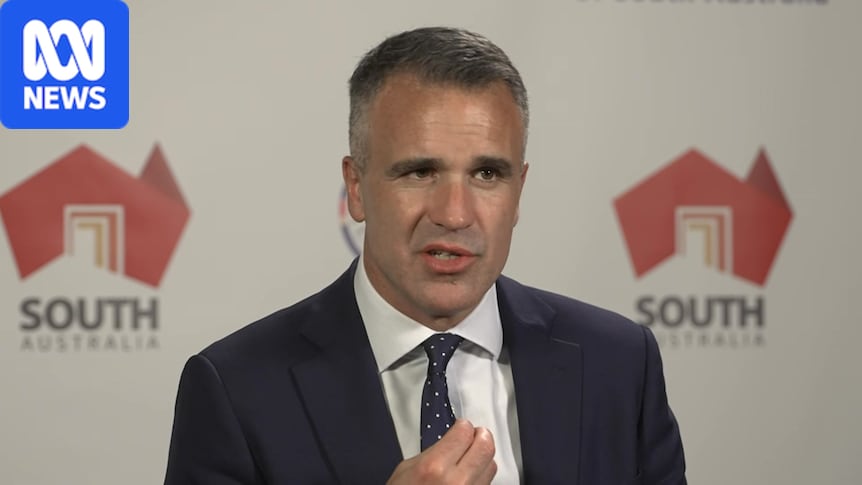 Royal commission into artificial intelligence launched in South Australia
