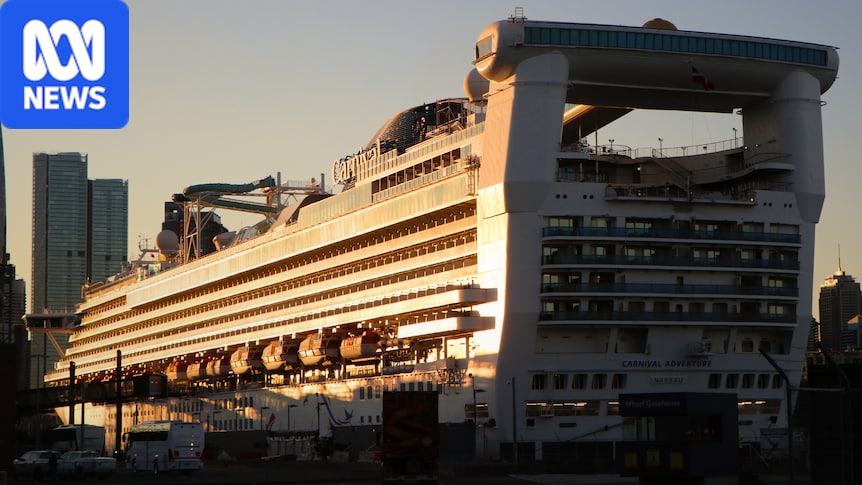 Carnival allegations prompt Anti-Slavery Commissioner calls for cruise crew protection