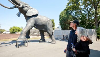The touching love story behind Yumi, a 22-foot bronze elephant