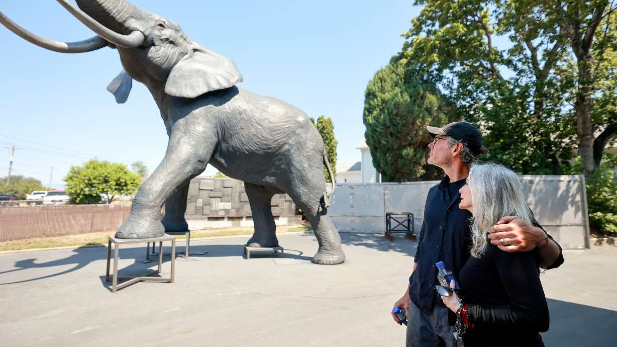 The touching love story behind Yumi, a 22-foot bronze elephant