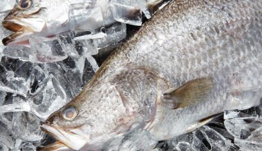 Barramundi Research Gives Breeders More Control