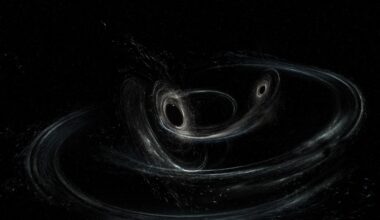 How gravitational waves transformed our universe