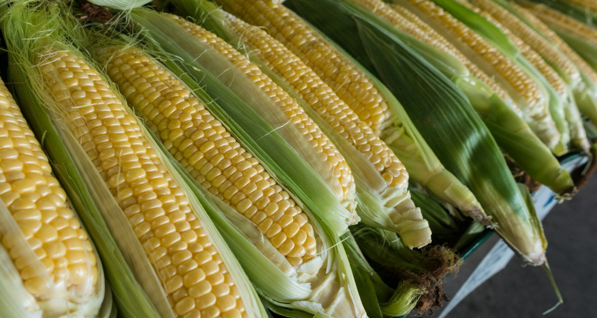 Wednesday's FTB: August means corny new rules
