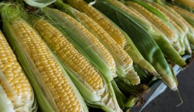 Wednesday's FTB: August means corny new rules
