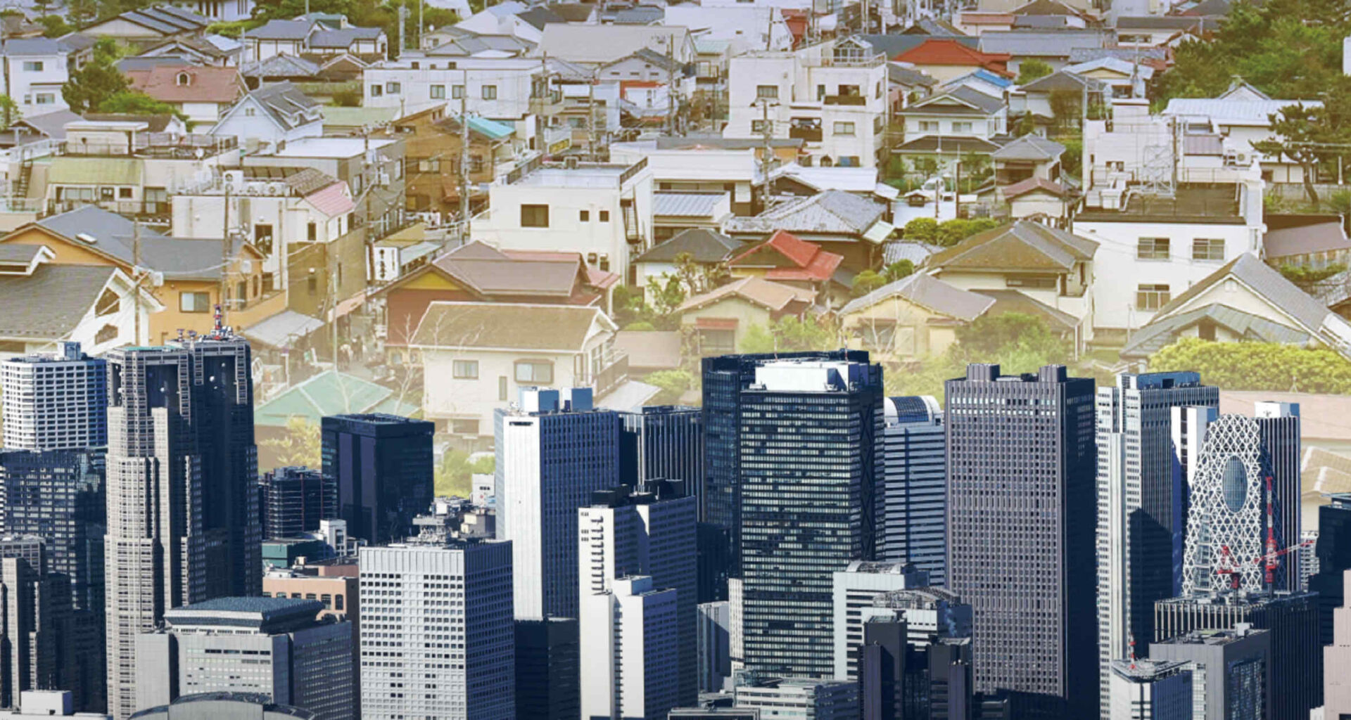 Tokyo, Seoul bucking trend of major nations' capital exodus