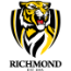 Tigers Team Logo