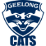 Cats Team Logo