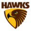 Hawks Team Logo