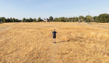 Drought in Europe: Forty shades of yellow: in scorched Europe, even Ireland is in drought