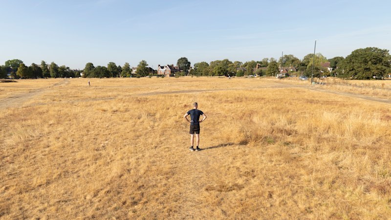 Drought in Europe: Forty shades of yellow: in scorched Europe, even Ireland is in drought