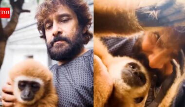 Vikram's Lar Gibbon controversy: Actor's connection explained as Forest Department investigation traces monkey to Erode resident