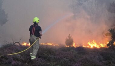 Dead trees, vanishing birds and barren riverbeds: How extreme heat will change the British landscape forever