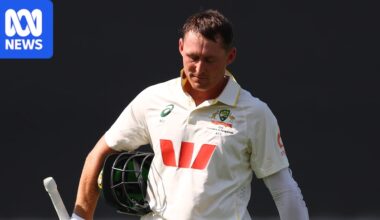 Australia needs new Test cricket batters but options are slim