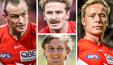 Sydney Swans investigation: AFL should consider enacting no-fault stand-down policy
