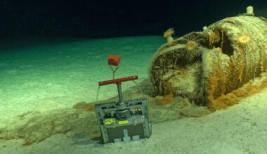 Scientists fear leaks in 2 lakh barrels of nuclear waste undersea