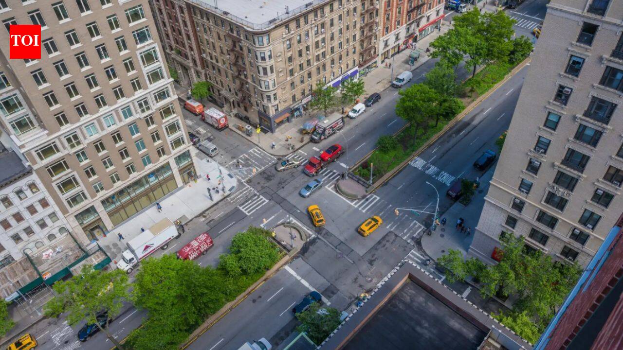 Between six lanes of Manhattan traffic, Broadway's medians are being replanted with native species to create a five-mile corridor for birds and bees