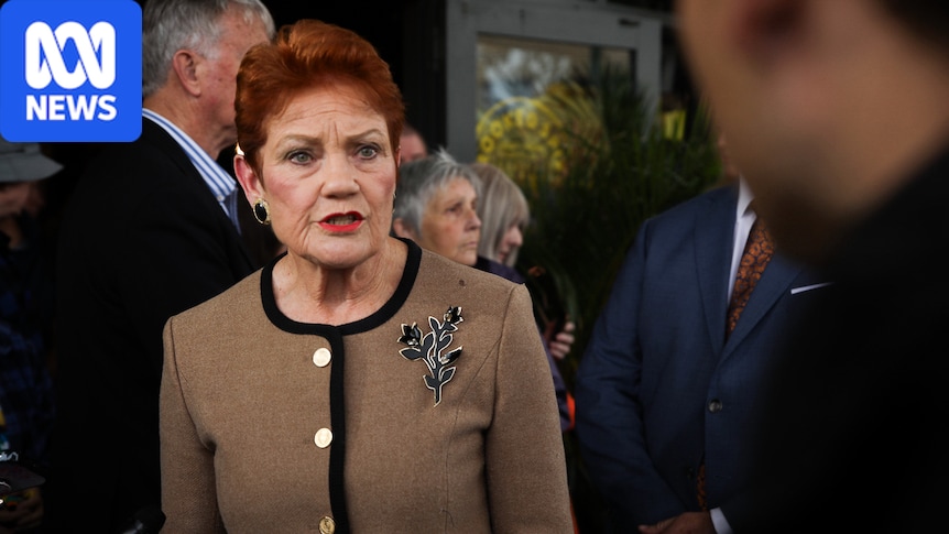 Perth man charged with threatening to kill One Nation leader Pauline Hanson