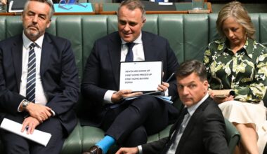Factcheck: No, Tim Wilson. First home-buyers have not dropped by 6%