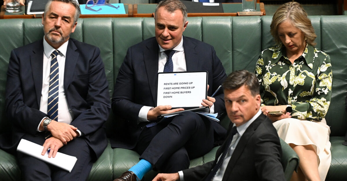 Factcheck: No, Tim Wilson. First home-buyers have not dropped by 6%